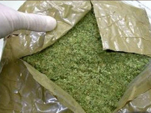 Şəki və Balakən sakinlərindən marixuana aşkarlandı