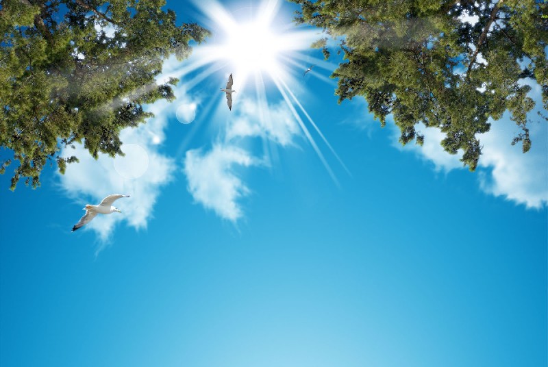 Aprelin 16-na olan hava şəraiti açıqlanıb