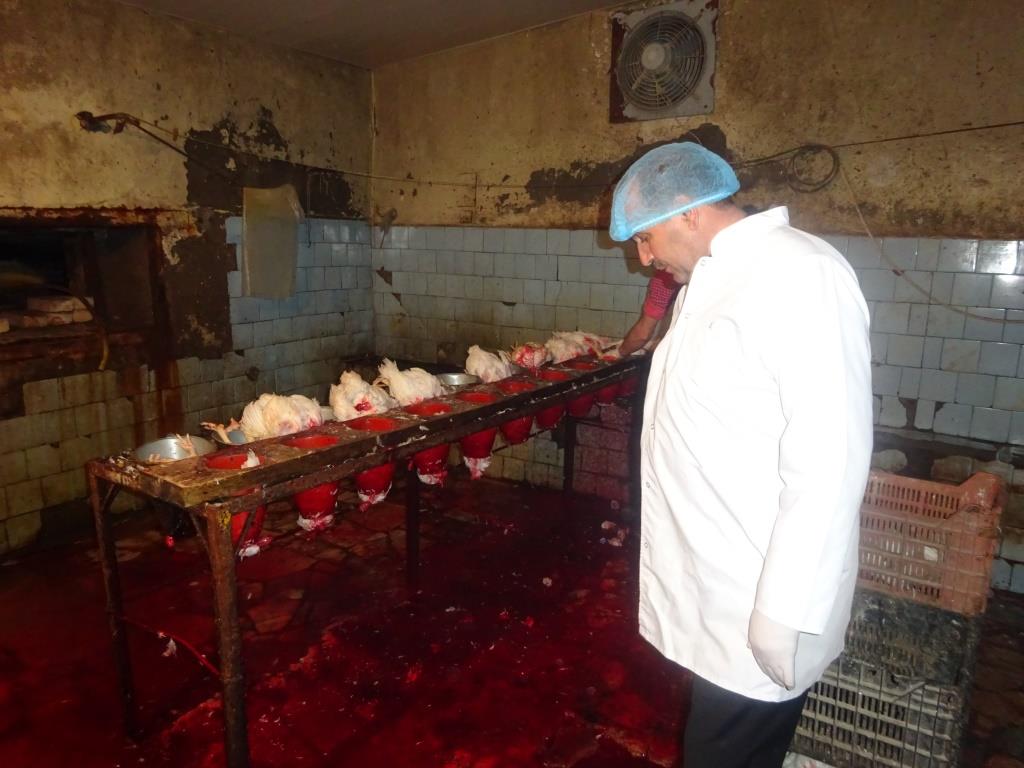 <b>Daha bir qanunsuz toyuq sexi aşkarlandı</b>