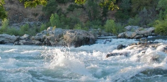 Çaylardakı mövcud vəziyyət açıqlandı