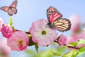 <b> May ayında hava necə olacaq?</b>