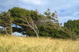 Sabah hava necə olacaq? - <span style="color:red;">PROQNOZ  