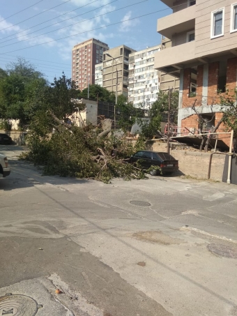 Bakıda aşan ağac televiziyaya ziyan vurdu