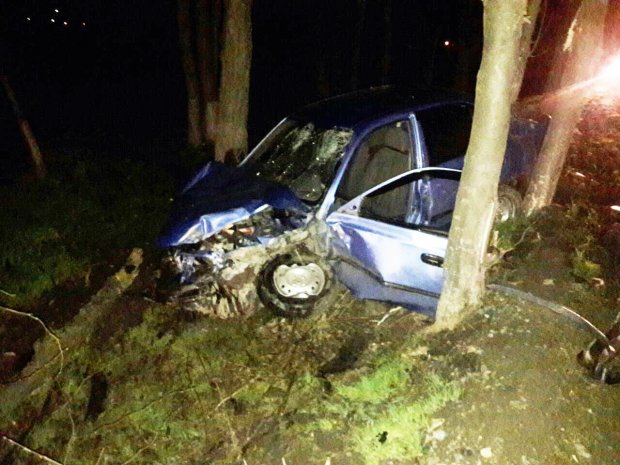 Maşın ağaca çırpıldı, sürücü öldü