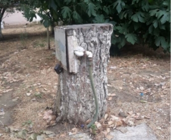 Başı kəsik gözəl kötük, bu dağı sənə kim çəkdi - <span style="color:red;">REPLİKA  - <span style="color:red;">FOTO 