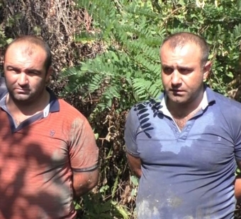 Həmkəndlilər birləşib narkotik plantasiyası saldılar