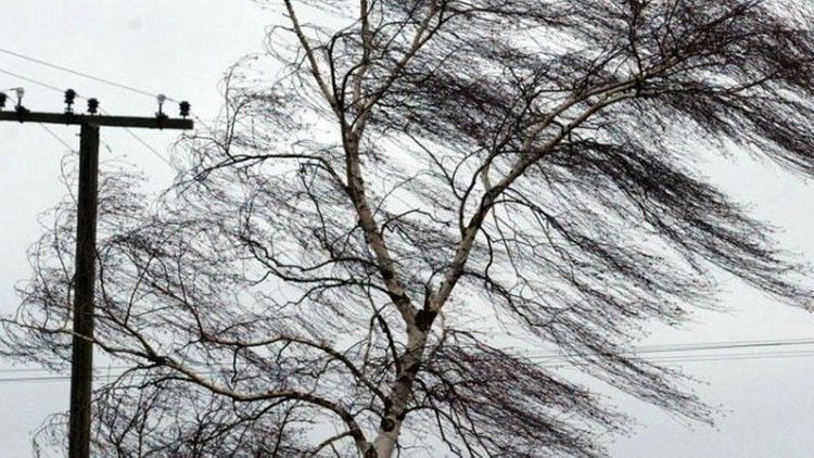 Sabah hava necə olacaq? - PROQNOZ