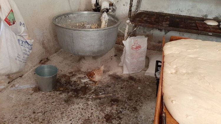 Çörək sexinin fəaliyyəti məhdudlaşdırıldı: həyətində ...