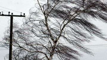 Sabah hava necə olacaq? - PROQNOZ