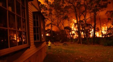 Avstraliyada meşə yanğınları nəzarətdən çıxdı