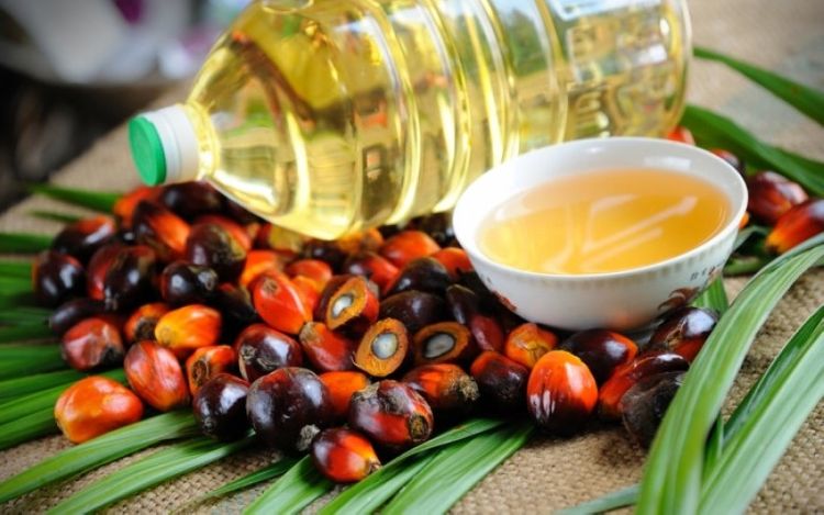 Palma yağı zərərlidir? - RƏSMİ AÇIQLAMA