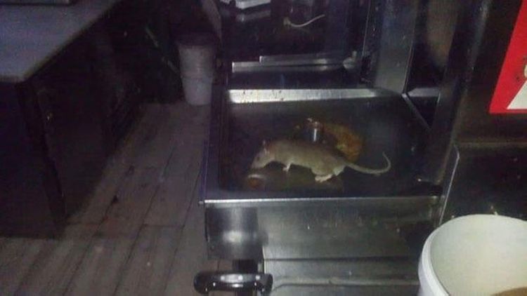 Mətbəxində siçanlar gəzən məşhur restoranla bağlı RƏSMİ QƏRAR