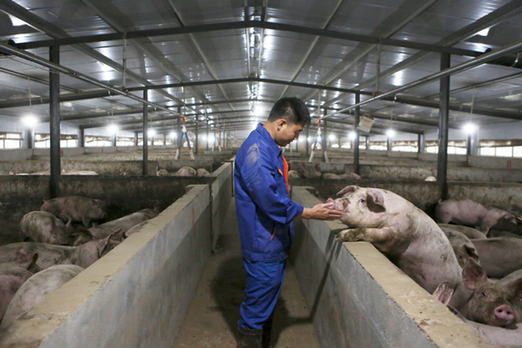 Donuza baxan ilin ən varlı milyarderi oldu