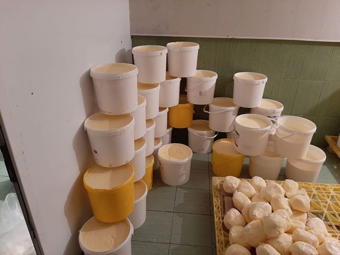 Beyləqandakı süd məhsulları müəssisəsinin fəaliyyəti məhdudlaşdırıldı - SƏBƏB