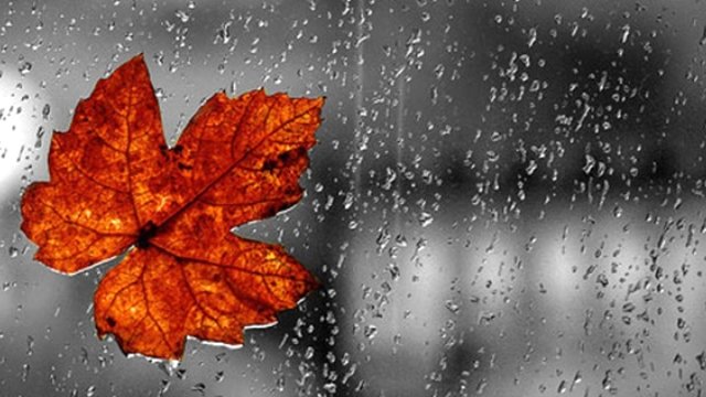 <b>Fevralın son gününün havası</b>