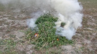 Külli miqdarda narkotik məhv edildi