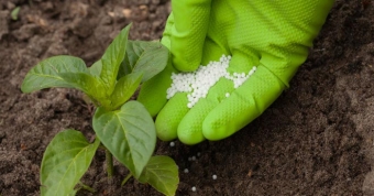 Karbamid – Azərbaycanın yeni gəlir mənbəyi - TƏHLİL