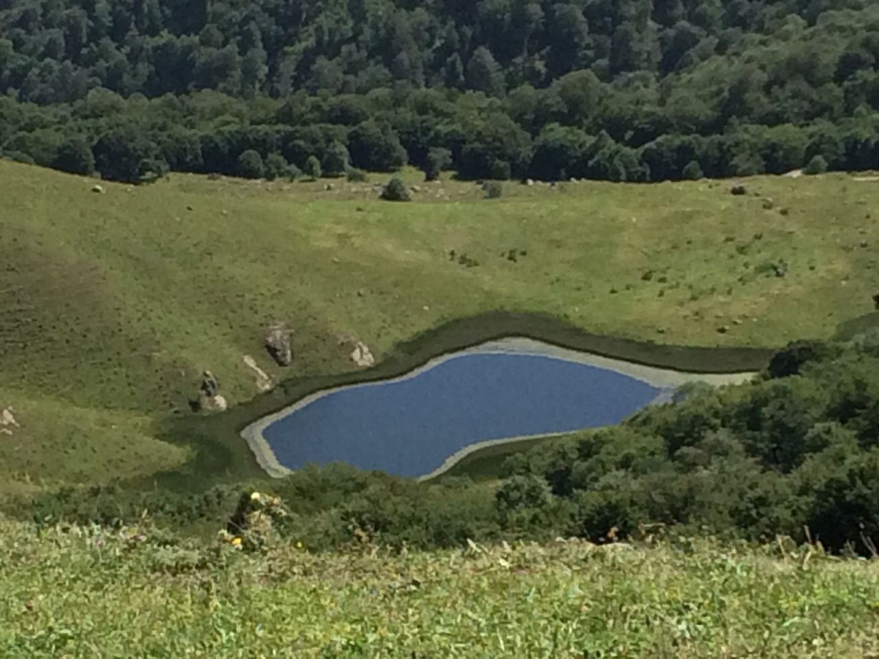 Alimlərin göllərlə bağlı müraciətinə müsbət <span style="color:red;">CAVAB VERİLDİ  