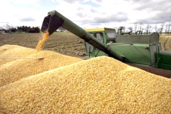 Qazaxıstan Azərbaycana buğda ixracını 3 dəfə artırıb
