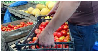 Hava şəraiti kənd təsərrüfatında məhsuldarlığı aşağı salıb