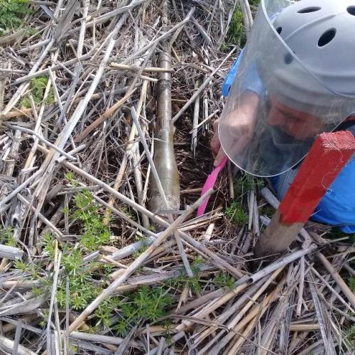 Bir ayda ölkədə 403 ədəd partlamamış hərbi sursat aşkarlanıb