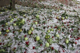 [b]Dolu daha çox hansı rayonlara düşüb?[/b]