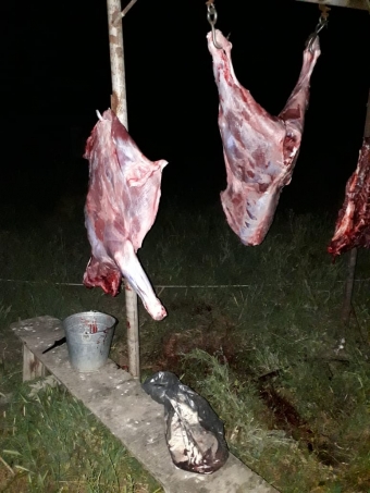 <b>Ağcabədidə ölmüş vəziyyətdə kəsilən heyvan cəmdəyi aşkarlandı</b>