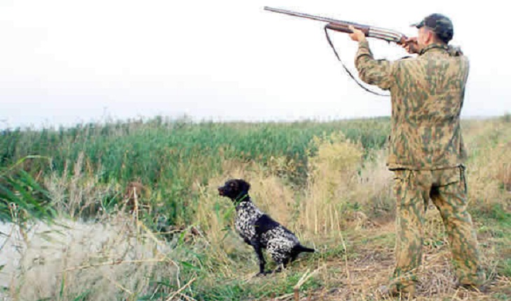 Ov mövsümü açıq elan edildi - <span style="color:red;">RƏSMİ 