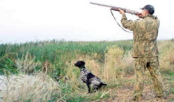 Ov mövsümü açıq elan edildi - <span style="color:red;">RƏSMİ 