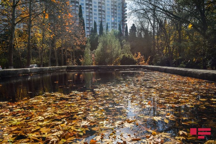 Sabahın hava PROQNOZU