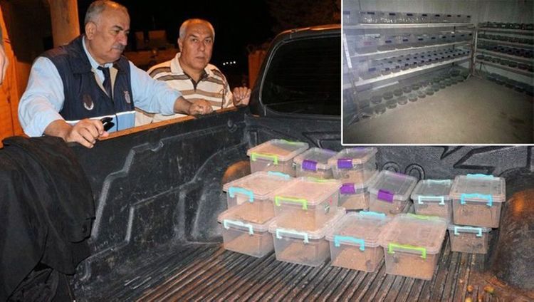 Ağlagəlməz hadisə - Əməliyyat zamanı ortaya çıxdı: litri 10 milyon dollar