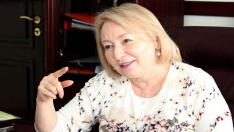 Aliment Fondu yaradılarsa, ortaya bu problemlər çıxar - Deputat 