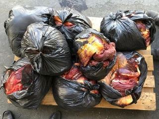 Bakının məşhur bazarında külli miqdarda yararsız ət aşkarlandı  - FOTOLENT