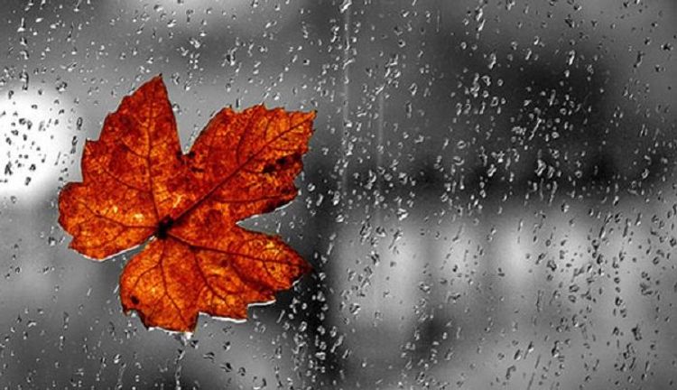 İstirahət günlərinin havası açıqlandı - PROQNOZ