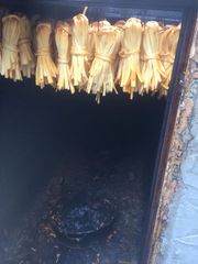 Bu şəhərdəki süd məhsulları sexinin fəaliyyəti məhdudlaşdırıldı - FOTOLENT