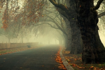 Sabahın hava PROQNOZU