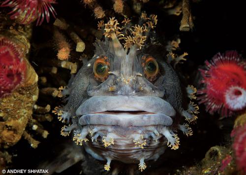 Su altından əsrarəngiz görüntülər - <span style="color:red;">FOTOLAR 