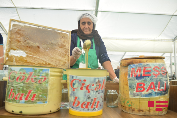 Bakıda bal yarmarkası başladı - FOTOLENT