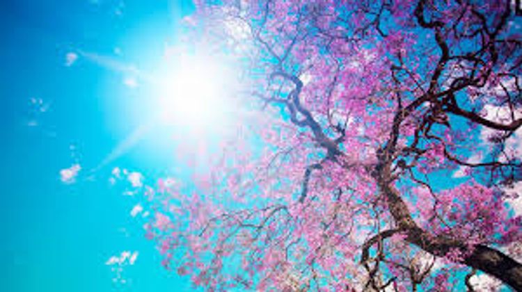 Aprel ayının hava PROQNOZU 