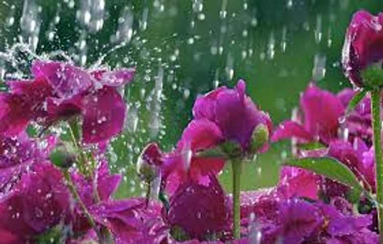 Sabahın hava PROQNOZU