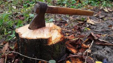 Bu bələdiyyəyə akt tərtib olundu - SƏBƏB