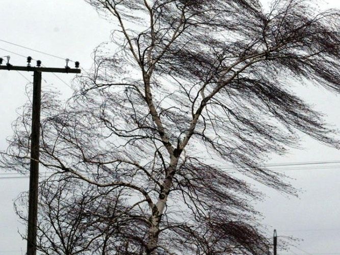 Sabah güclü külək əsəcək - PROQNOZ