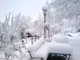 Azərbaycanda bu əraziyə 10 santimetrə yaxın qar yağıb - FAKTİKİ HAVA