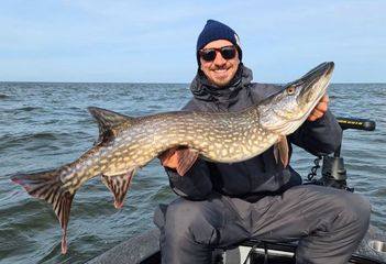 İbrahimoviç İsveçdə min hektar torpaq aldı