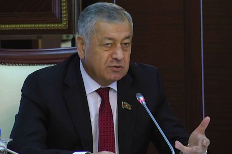 "Manatın taleyinə də aydınlıq gətirilməlidir" - Vahid Əhmədov