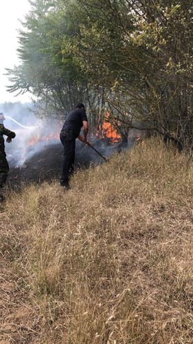 Qubada dağlıq ərazi yandı  - YENİLƏNİB