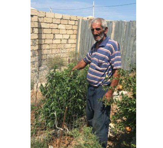 Narkotik əkən “iş başında” yaxalandı