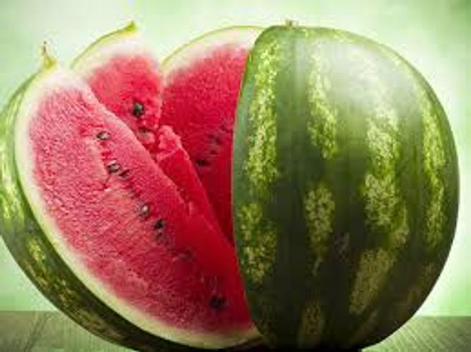 Zəhərli qarpız yetişdirirlər: TƏMİZ QARPIZ...- AİB sədri