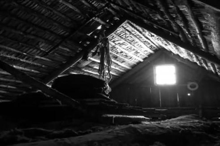 Almaniyada mumiyalanmış misirli – ŞOK TAPINTI - FOTO