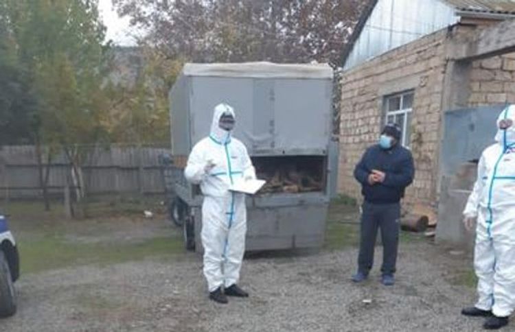 İki koronavirus xəstəsi yaşayış yerini tərk etdi - FOTO